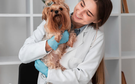Get the Best Pets Care Products in USA