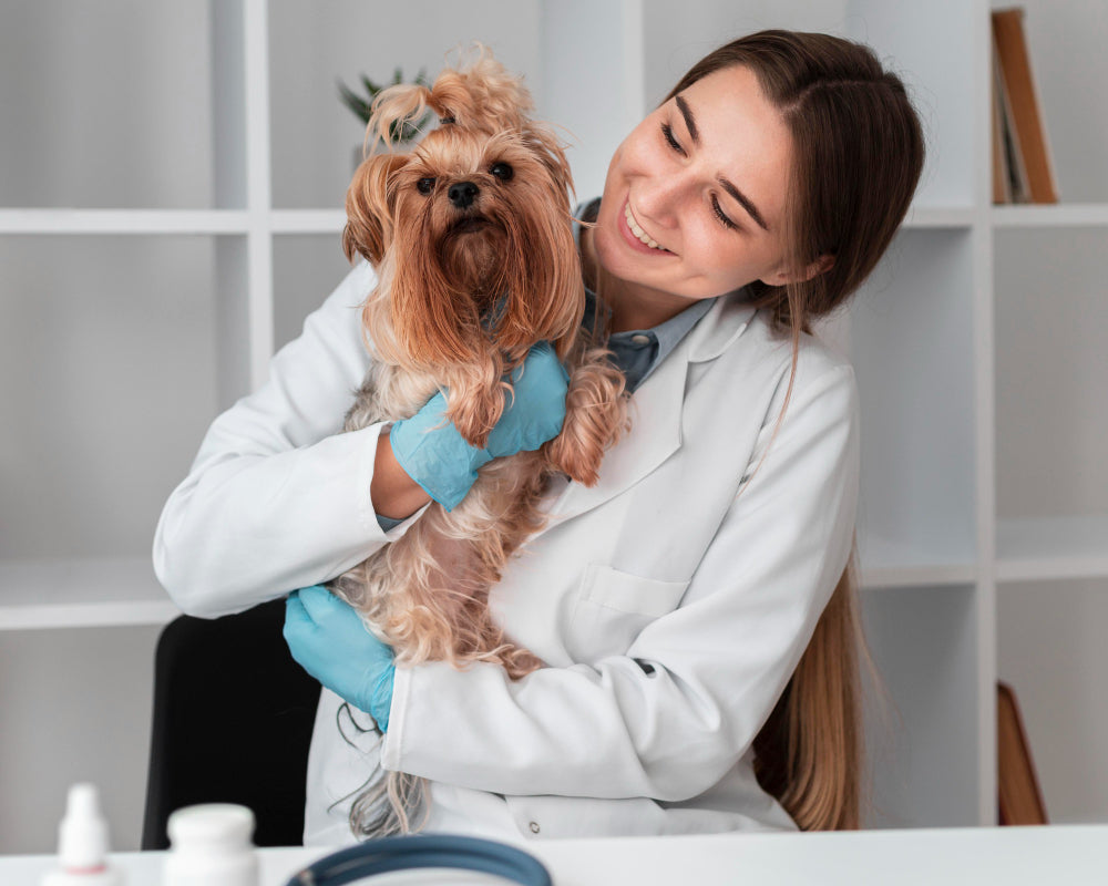 Get the Best Pets Care Products in USA