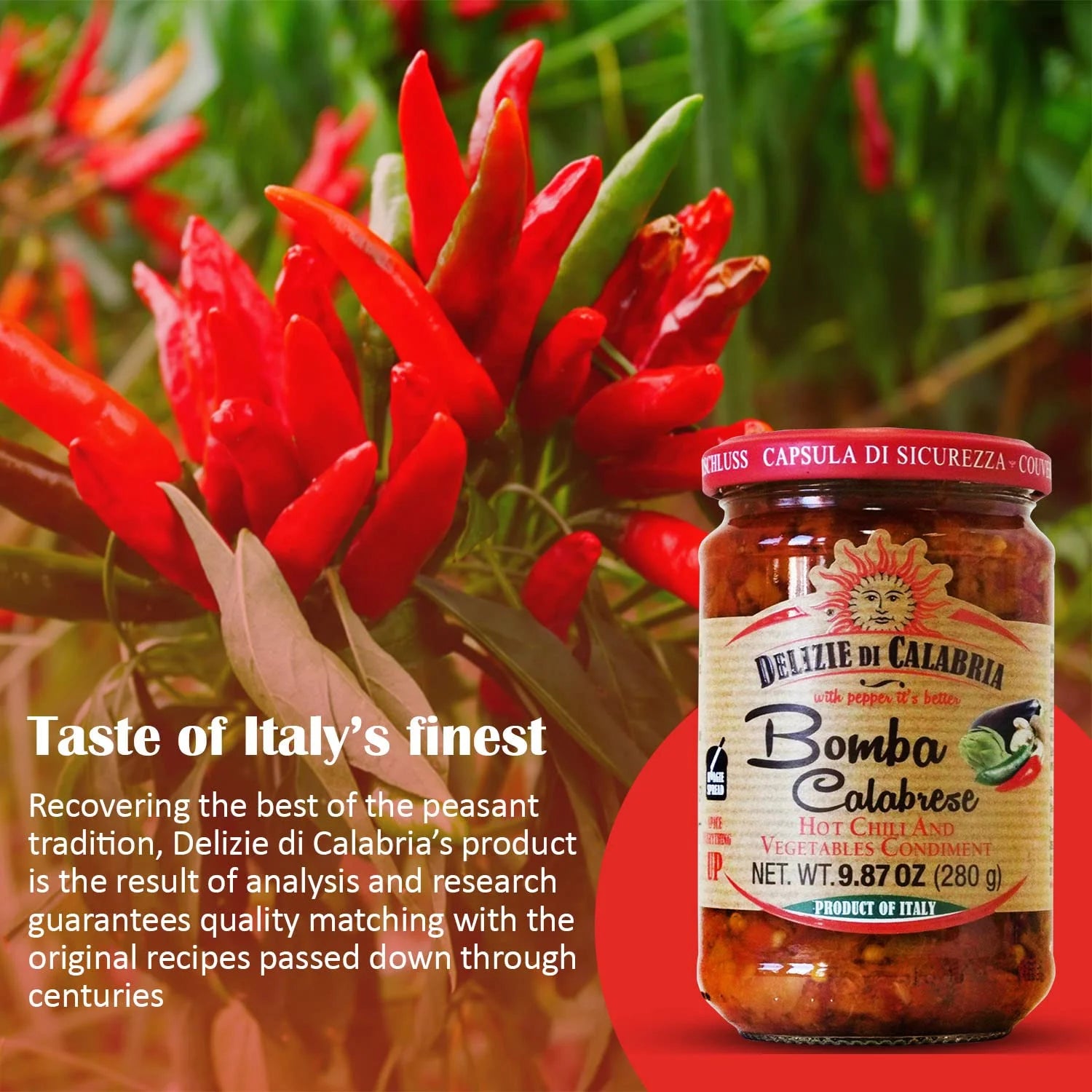 Bomba Calabrese – Hot Chili & Vegetable Condiment, 9.87 oz (Italy)