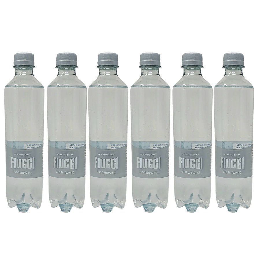 Fiuggi Natural Spring Water 16.9 oz (6-pack)