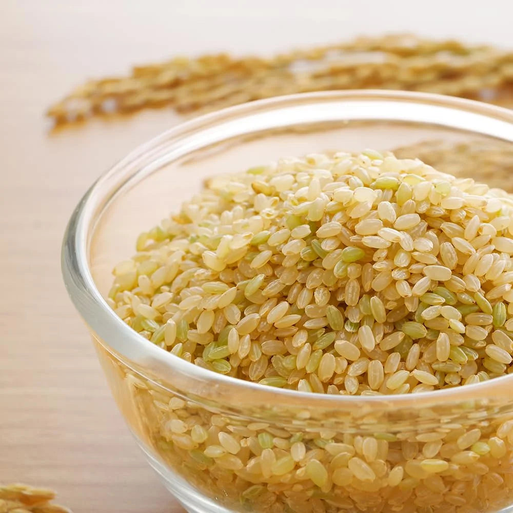 Kagayaki Haiga Genmai Brown Rice – 4.4 lbs | California Short Grain Koshihikari