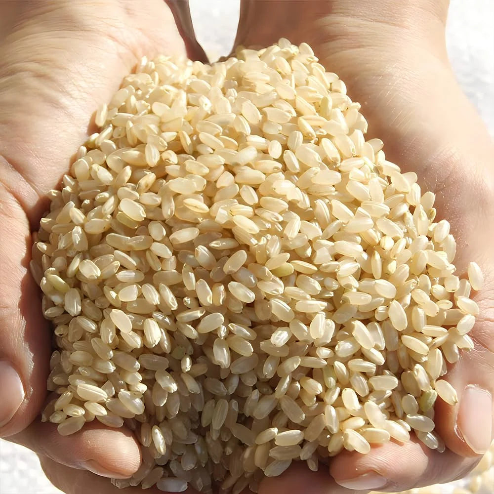 Kagayaki Premium Short Grain Brown Rice – 4.4 lbs | California-Grown, High Fiber & Protein