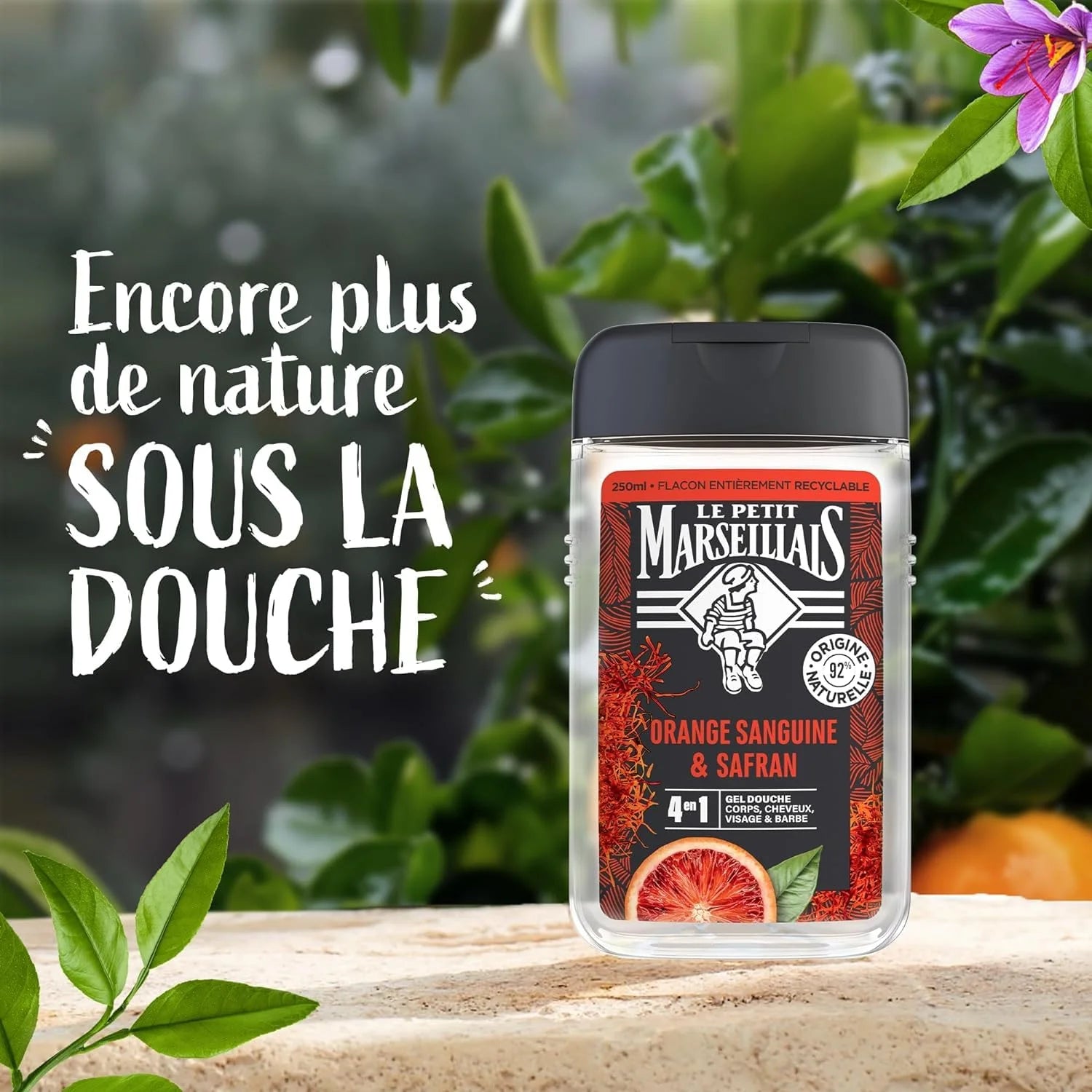 Le Petit Marseillais Men’s Shower Gel – Blood Orange & Saffron, 8.5 fl oz