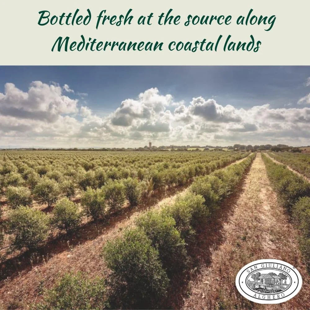San Giuliano Extra Virgin Olive Oil Cold Pressed – 750 ml