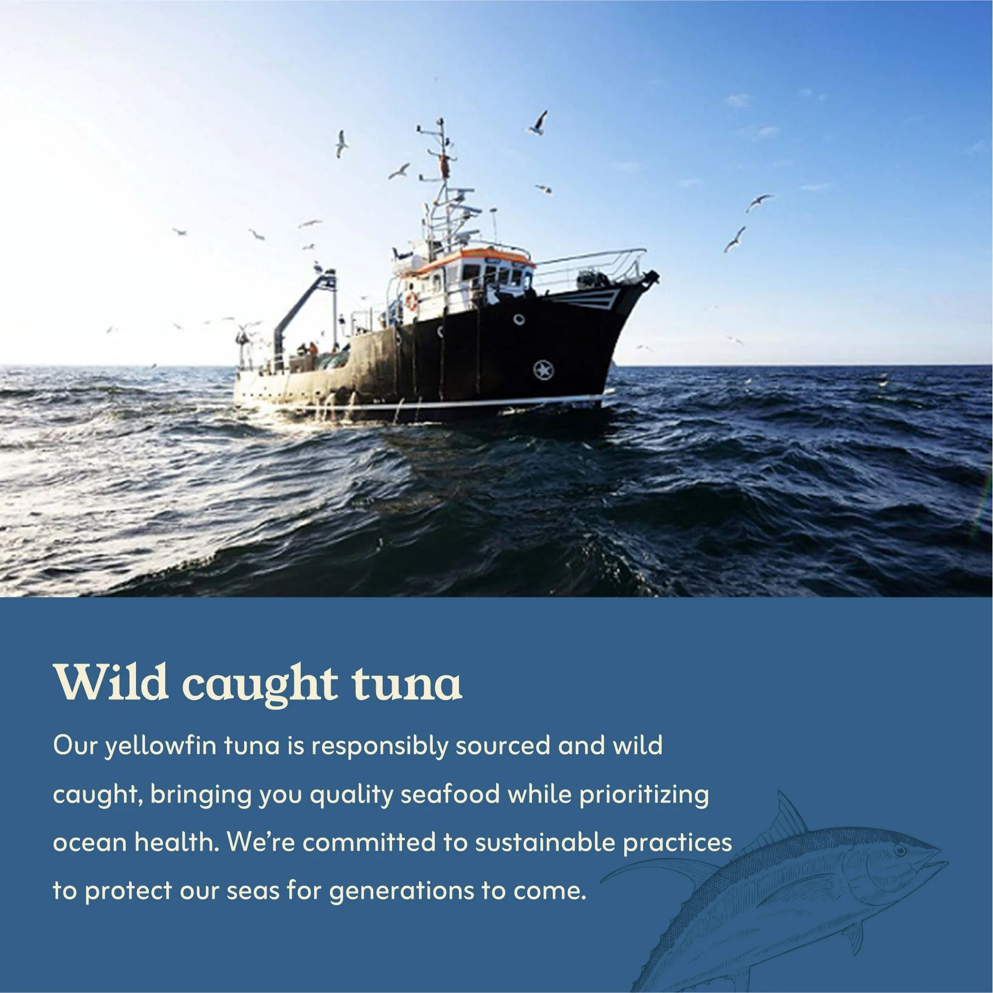 Van Camp’s Yellowfin Tuna in Oil – Fancy Solid Light Tuna, 5 oz Can